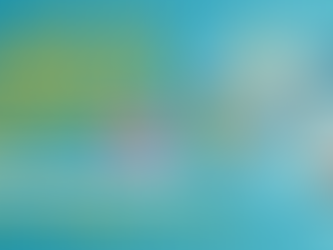 3/17（火）はじめてのEC販路拡大セミナー