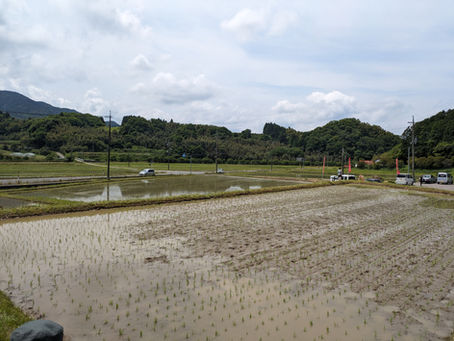 令和の農地改革は（昭和21年）