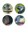 ASA COASTER SETS WEB IMAGES NZ Birdlife.png