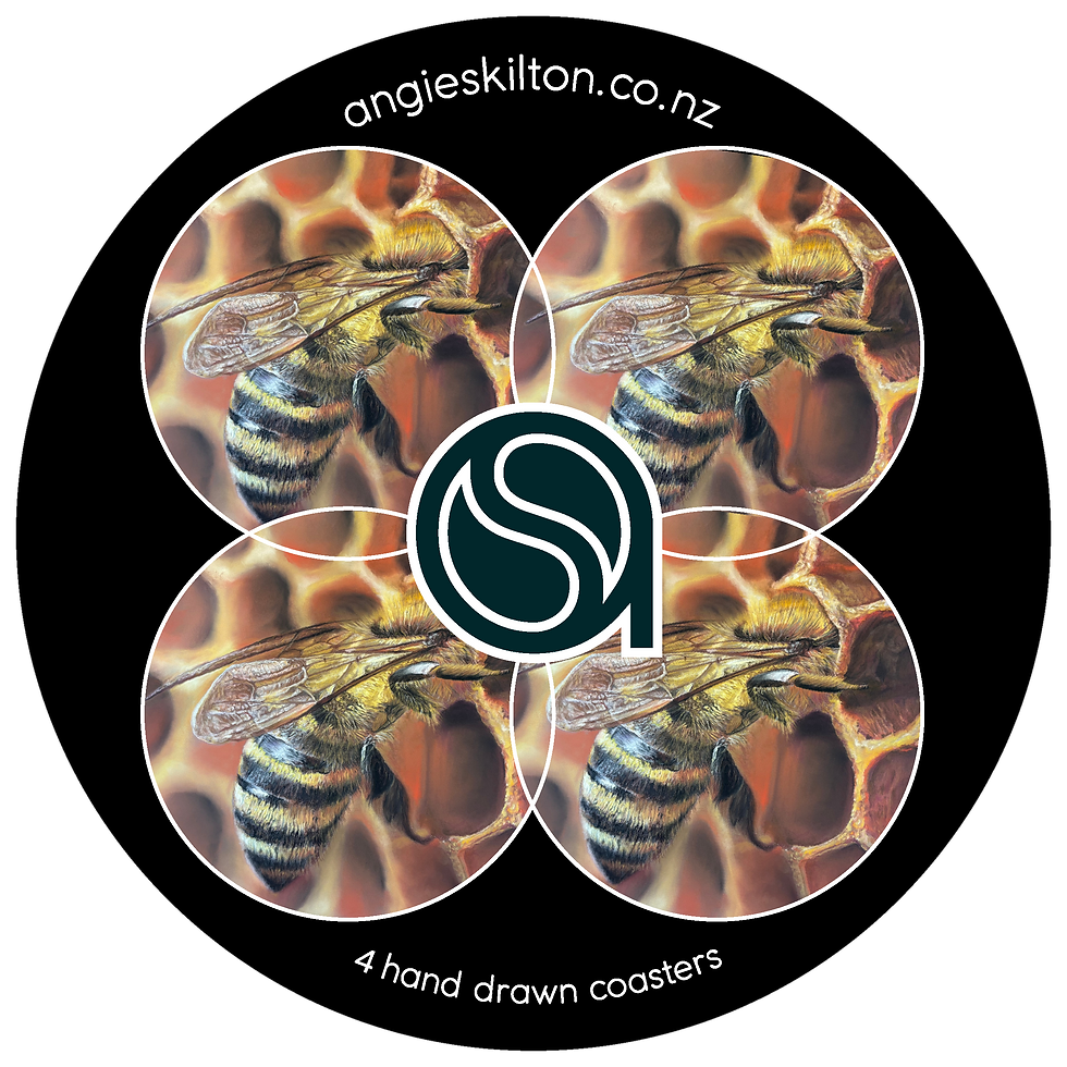 Thumbnail: NECTA Coaster Set