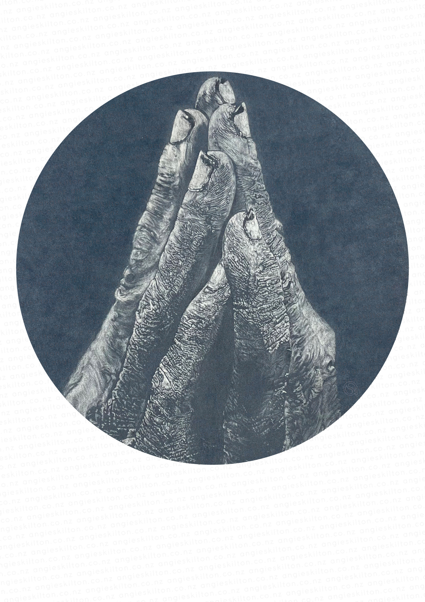 DESOLATION A3 Print Circle