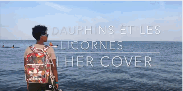 Les Dauphins et les licornes