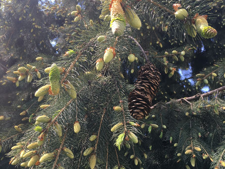 Per uscire serve fiducia, concreta ed empatica