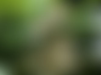 Prendiamoci cura del nostro futuro