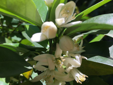 Prendiamoci cura del nostro futuro