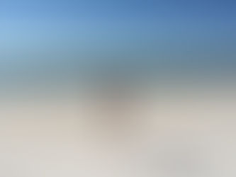 Il virus della felicità