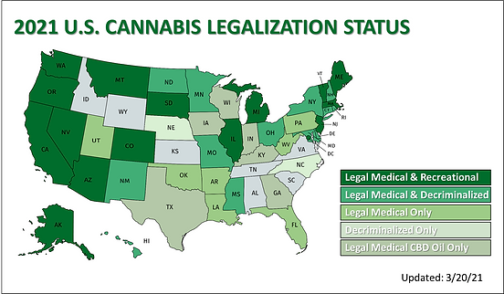 Cannabis Cultivation  Snapshot