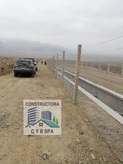 Const. CyB 12