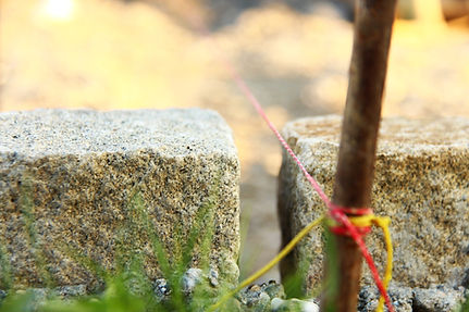 bordure jardin Sarthe