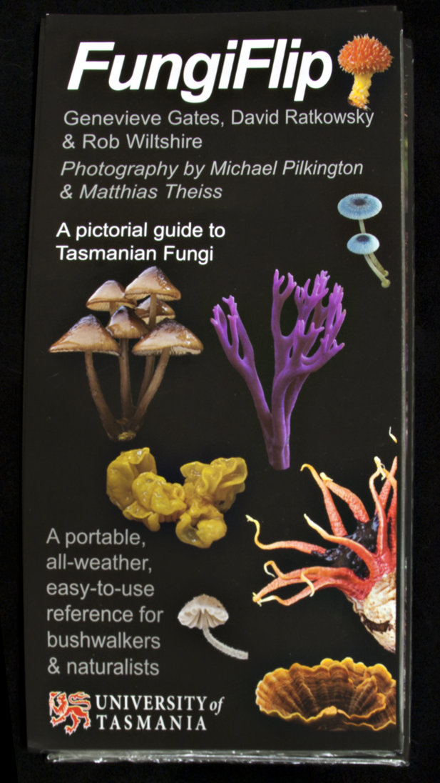 Fungi Flip