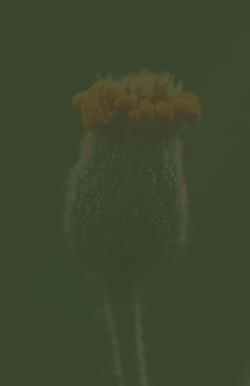 24.png