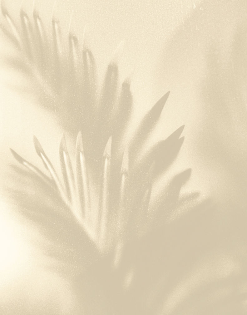 therapy online for grief midlife anxiety transitions.jpg