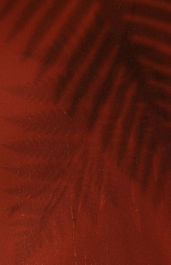 therapist online california millennials existential dread crisis_edited.jpg