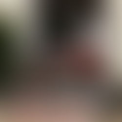 Monkey Limited 中古車入荷しました!