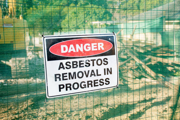 Comprehending Asbestos Removal: What You Required to Know