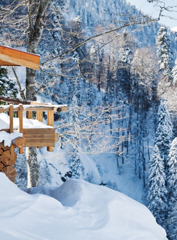 House in the Snow