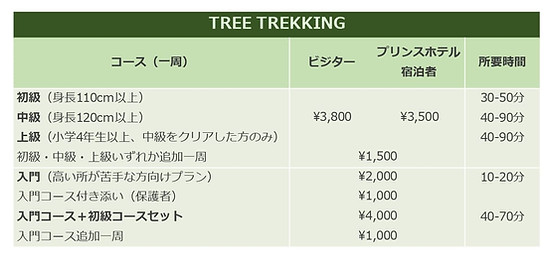ツリー新料金表_page-0001.jpg