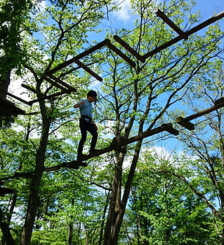ツリートレッキング 体験 軽井沢
