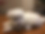 sahiplendirme için kedi ilanlari gösteren ikinci küçük fotoğraf