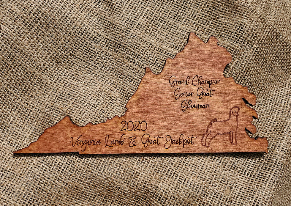 Thumbnail: Virginia Small State Cut Out Livestock award for 4-H FFA