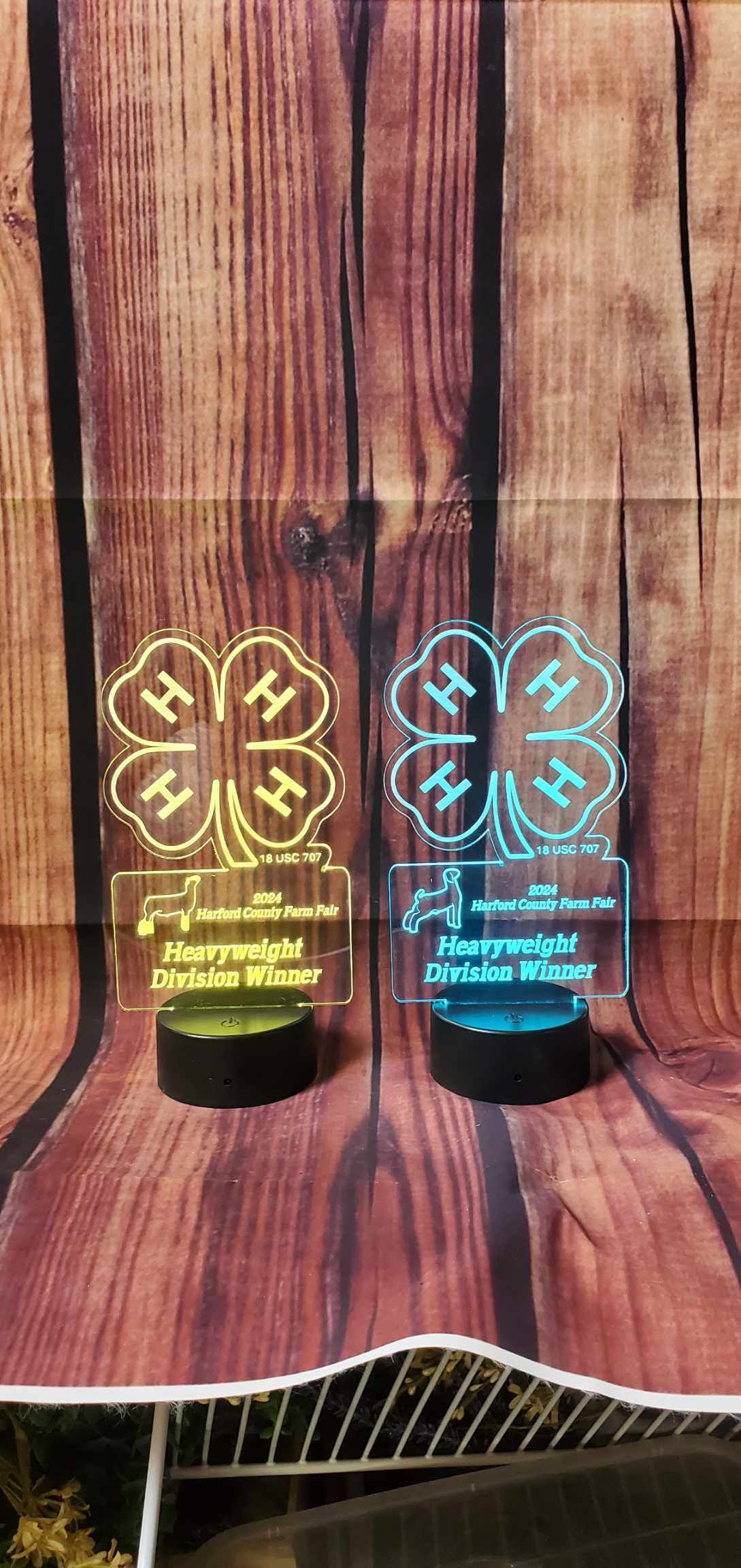 4-H Clover Light Up award