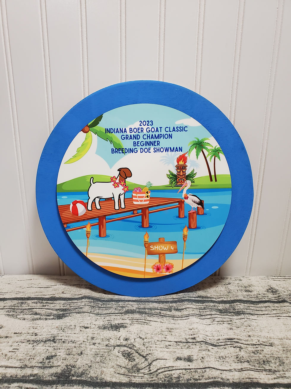 Thumbnail: Full Color Two-Layer Round Awards