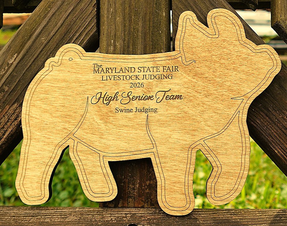 Thumbnail: Driving Pig Cut Out Livestock Wooden Award