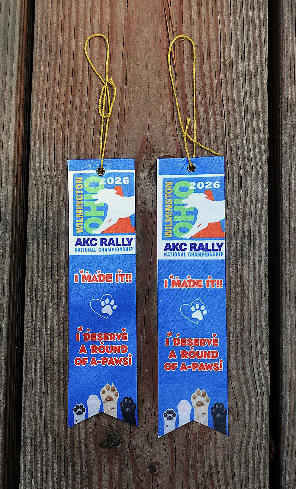 Thumbnail: Custom Graphics Award Ribbons
