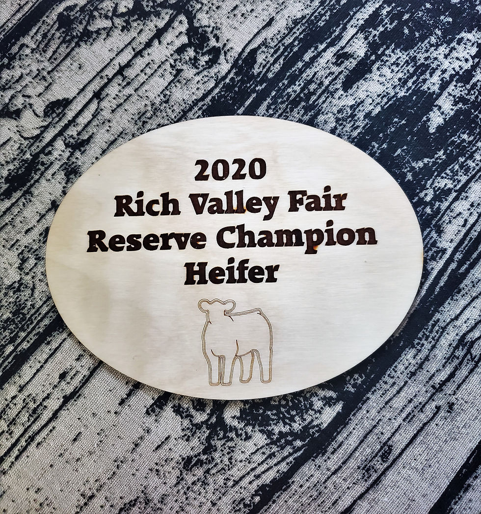 Thumbnail: Oval Livestock Award Single Layer