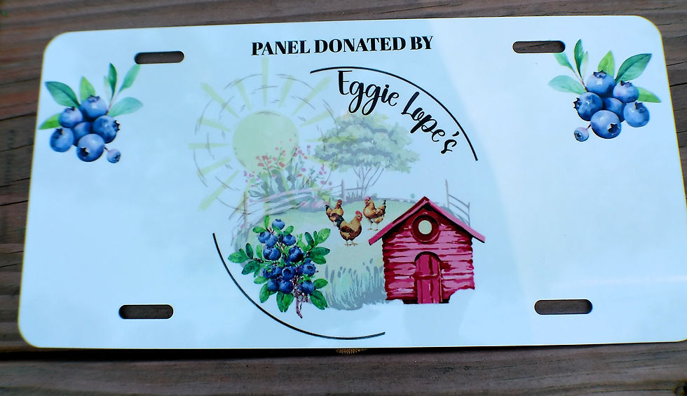Thumbnail: Blue and white metal license plate with logo for show sponsor gift