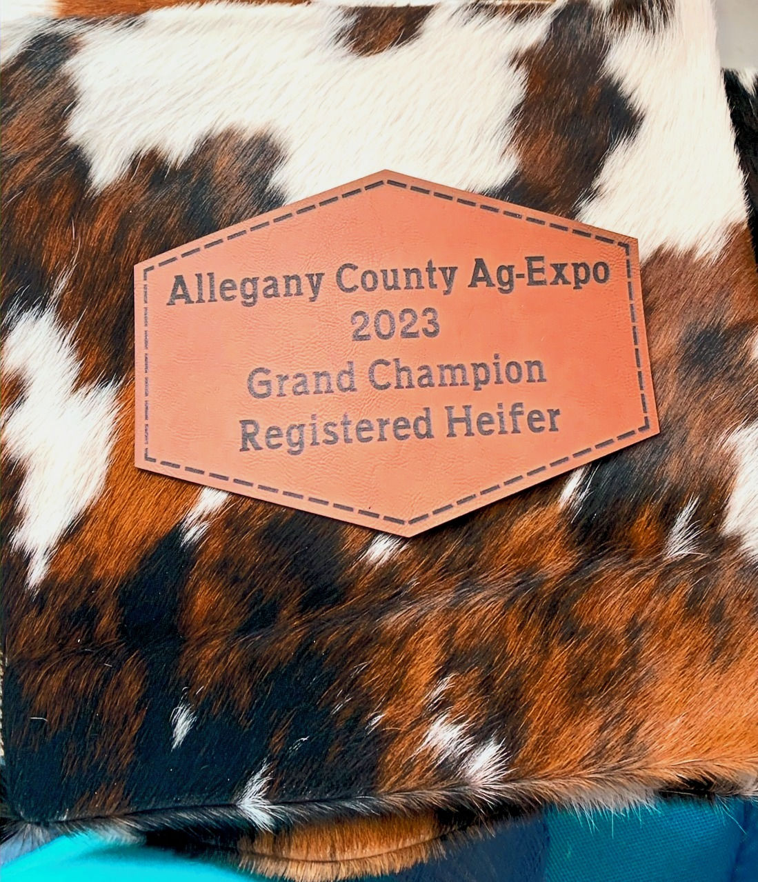 Genuine Cowhide Award Pillow with patch