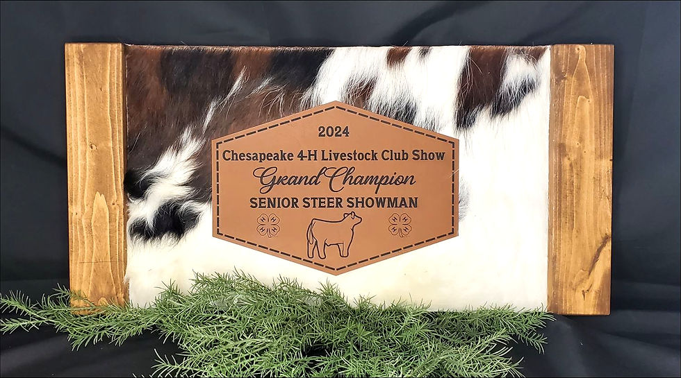 Thumbnail: Genuine Cowhide Wood Tray Wall Hanging Award