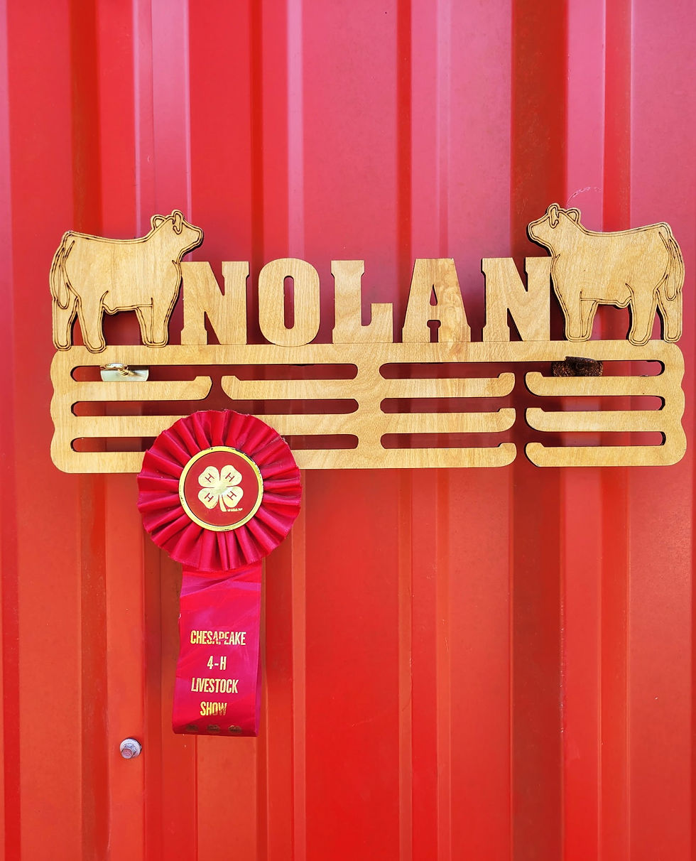Thumbnail: Custom Rosette Ribbon Display Medal Holder
