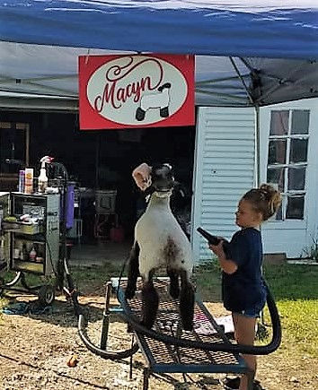 Thumbnail: Layered Stock Show Stall / Pen Sign