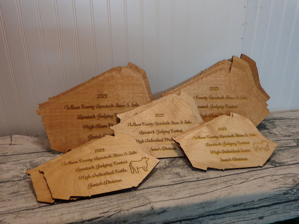 Thumbnail: County Shape Cut Out Award Wood Engraved Various Sizes