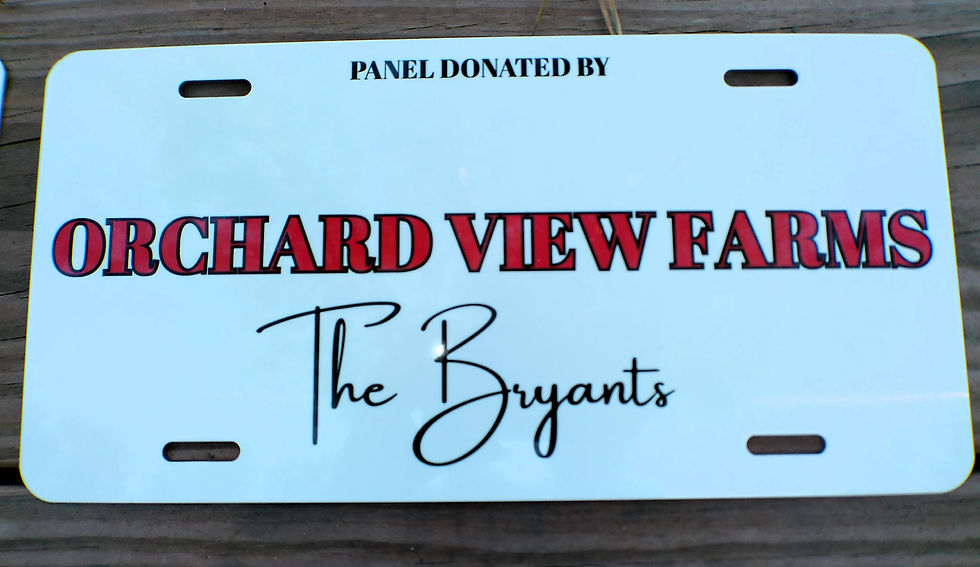 Thumbnail: Blue and white metal license plate with logo for show sponsor gift