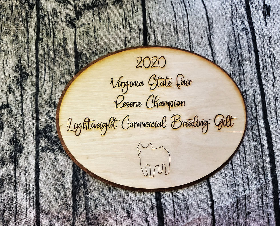 Thumbnail: Layered Oval Livestock Award