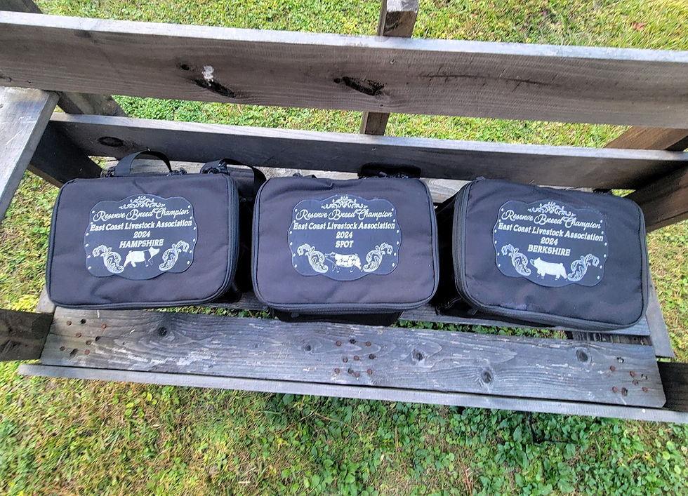 Thumbnail: Tactical Lunch Box Soft Bag with Custom Engraved Buckle Patch livestock show rodeo award
