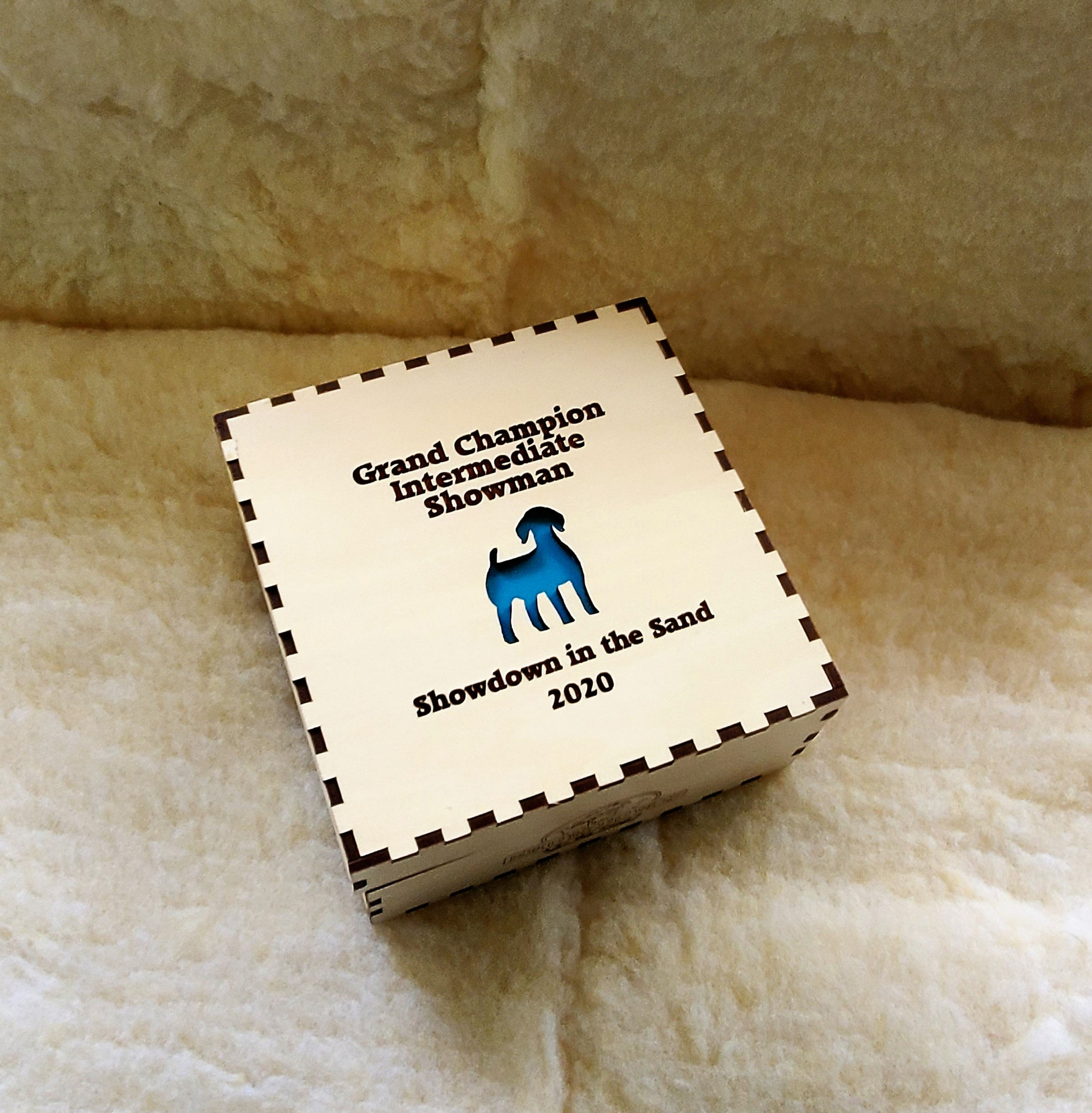 Dove Tail Hinged Box Award / Gift