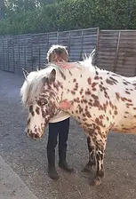 activité enfants et animaux dans les Yvelines 78
