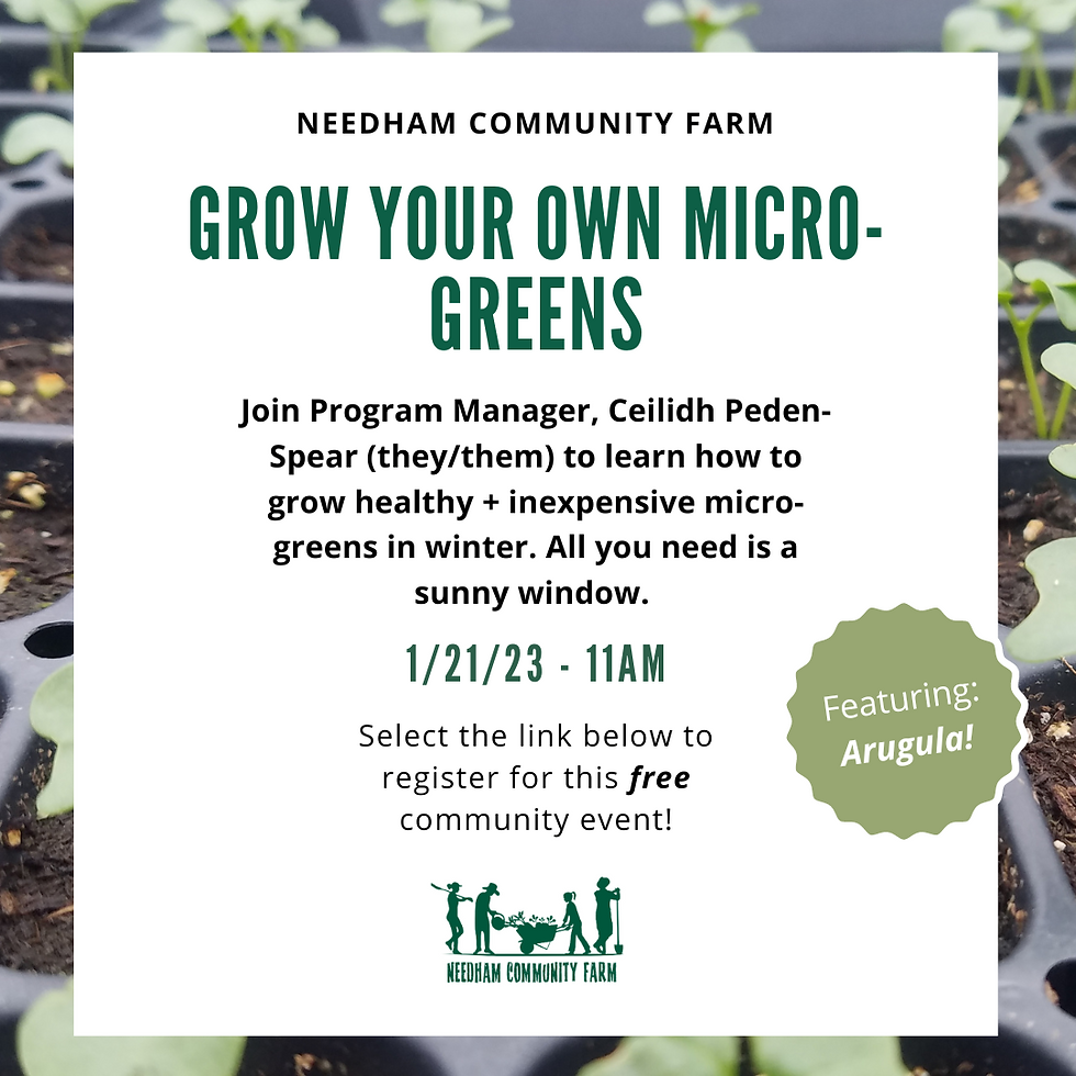 Grow Your Own Microgreens - SOLD OUT