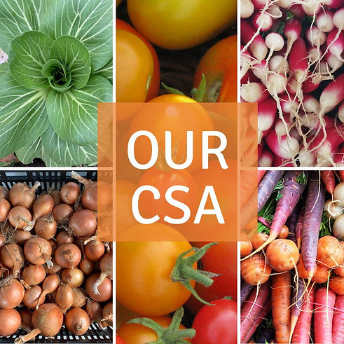 Coming Soon (13).jpg