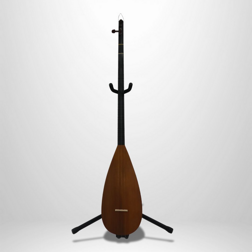 Baglama Vorderansicht hochwertiges Saz Instrument