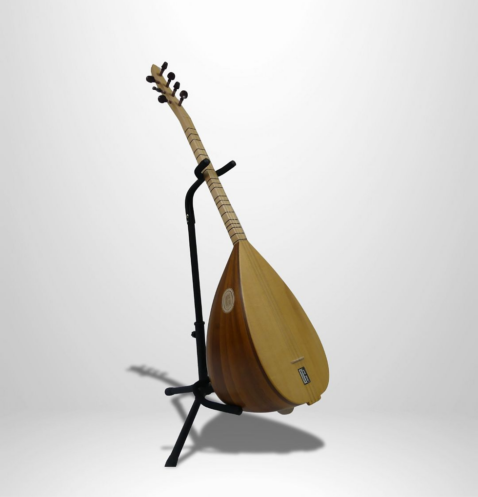 Baglama kaufen Maulbeere 24 Faecher Artvin Fichte handgefertigt