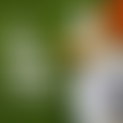 Top 10 Most Watched Sports in the World