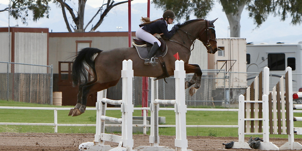 STS Jumper Show