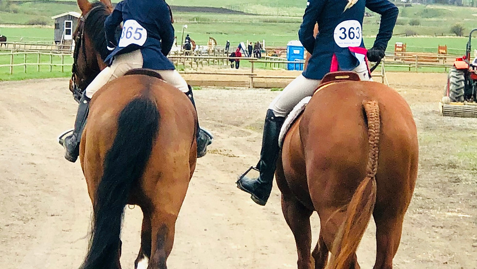 Horse Day Camp