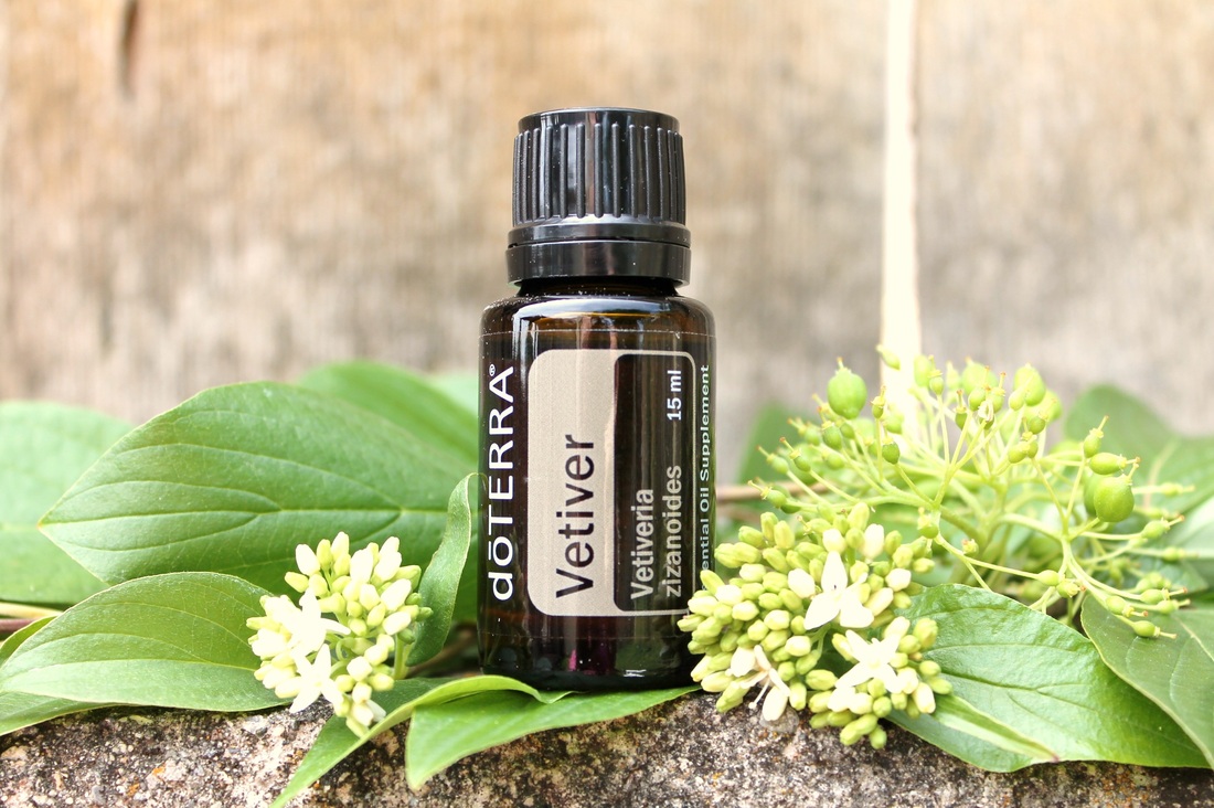 vetiver essential oil doterra