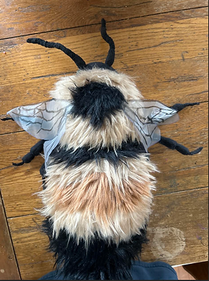 Screenshot 2025-04-28 at 08.23.45.png