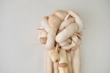 Strani Corpi Stranieri